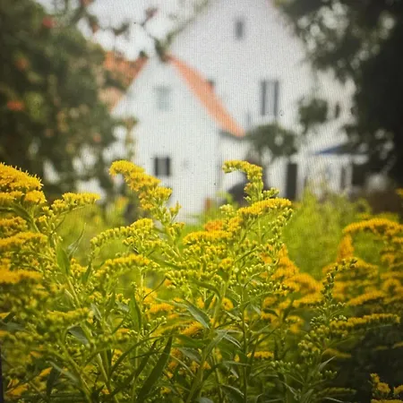 Lili Marleen Hotell Lübeck