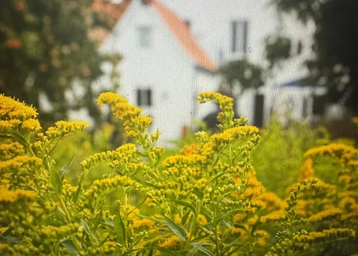 Lili Marleen Hotel Lübeck