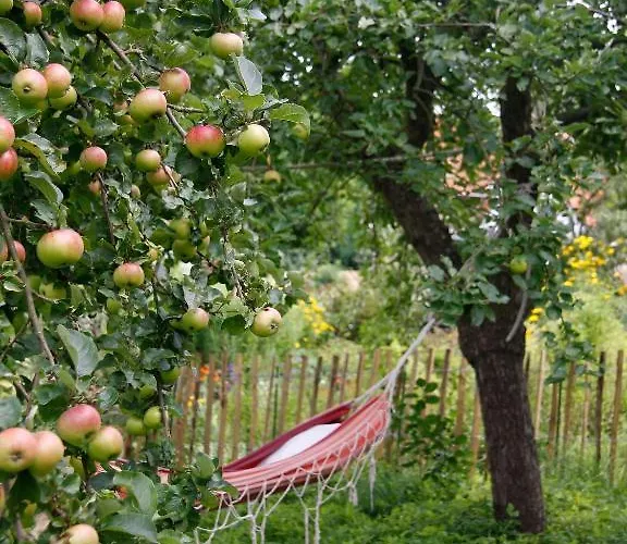 Lili Marleen Hotell 4*